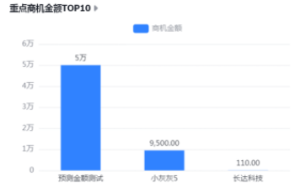 重点商机金额TOP10